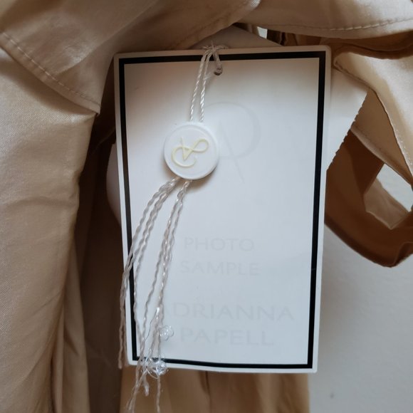 Adrianna Papell *NEW* Sequin Lace & Taffeta Gold Ballgown - Picture 13 of 16